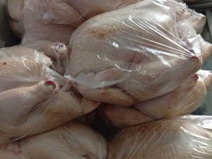 Курица домашняя